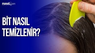 Bit Nedir Nasil Olusur Nasil Temizlenir Saglik Nasil Com Youtube