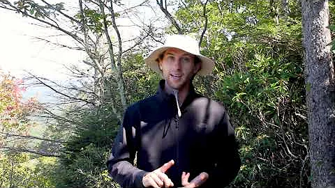 Invasive species: Is there hope in Virginia?