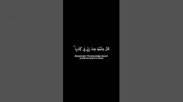 سورة طه. الوليد الشمسان.شاشة سوداء #فلسطين