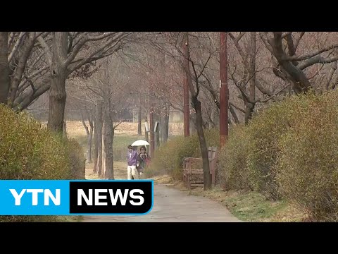 [날씨] 완연해지는 봄기운...중부 미세먼지 주의 / YTN