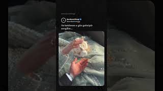 Ve Beklenen O Gün Gelmiştir Sevgilim...😘🫠💚 Şk