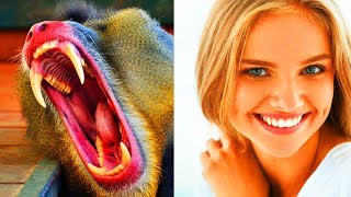 Celebrity DEBUNKED: "Humans Are Designed To Eat Meat" Net Worth