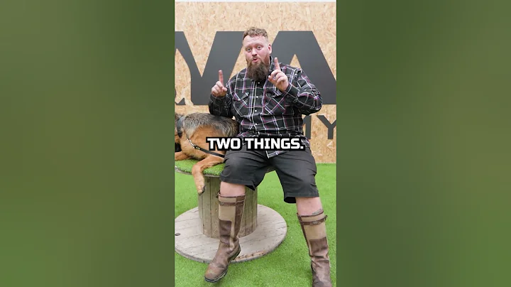 I Do Not Like German Shepherds For This Reason!