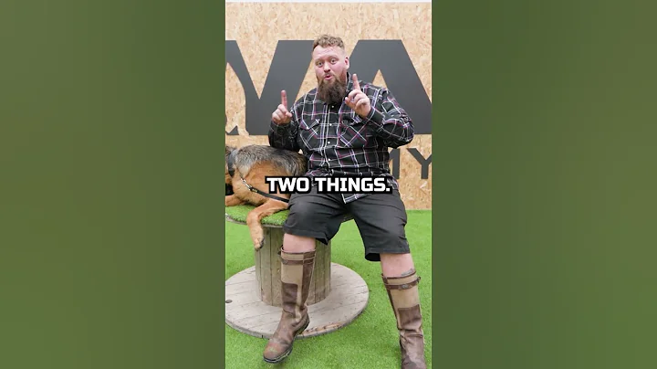 I Do Not Like German Shepherds For This Reason!