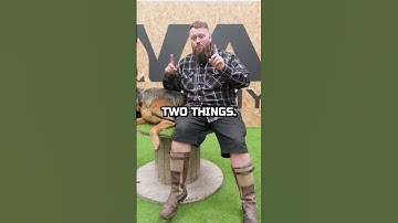 I Do Not Like German Shepherds For This Reason!