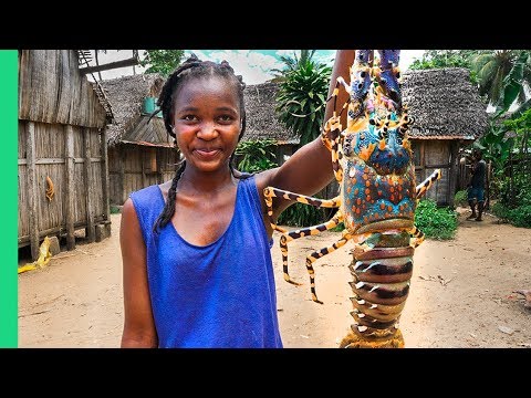GIANT SEAFOOD on Africaâ€™s Biggest Island! Catch and Cook with Primitive Technology!