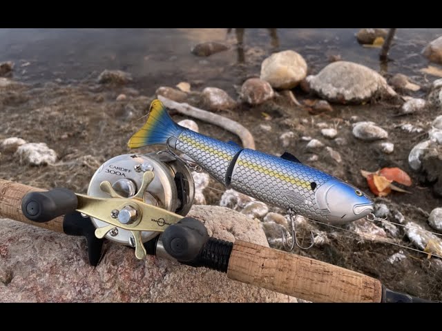 HIGH WINDS + FALL COLD FRONTS = SWIMBAIT FISH!!! (Baitsanity