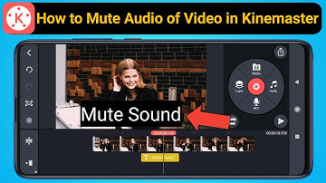 How to Mute Audio of a Video in Kinemaster App