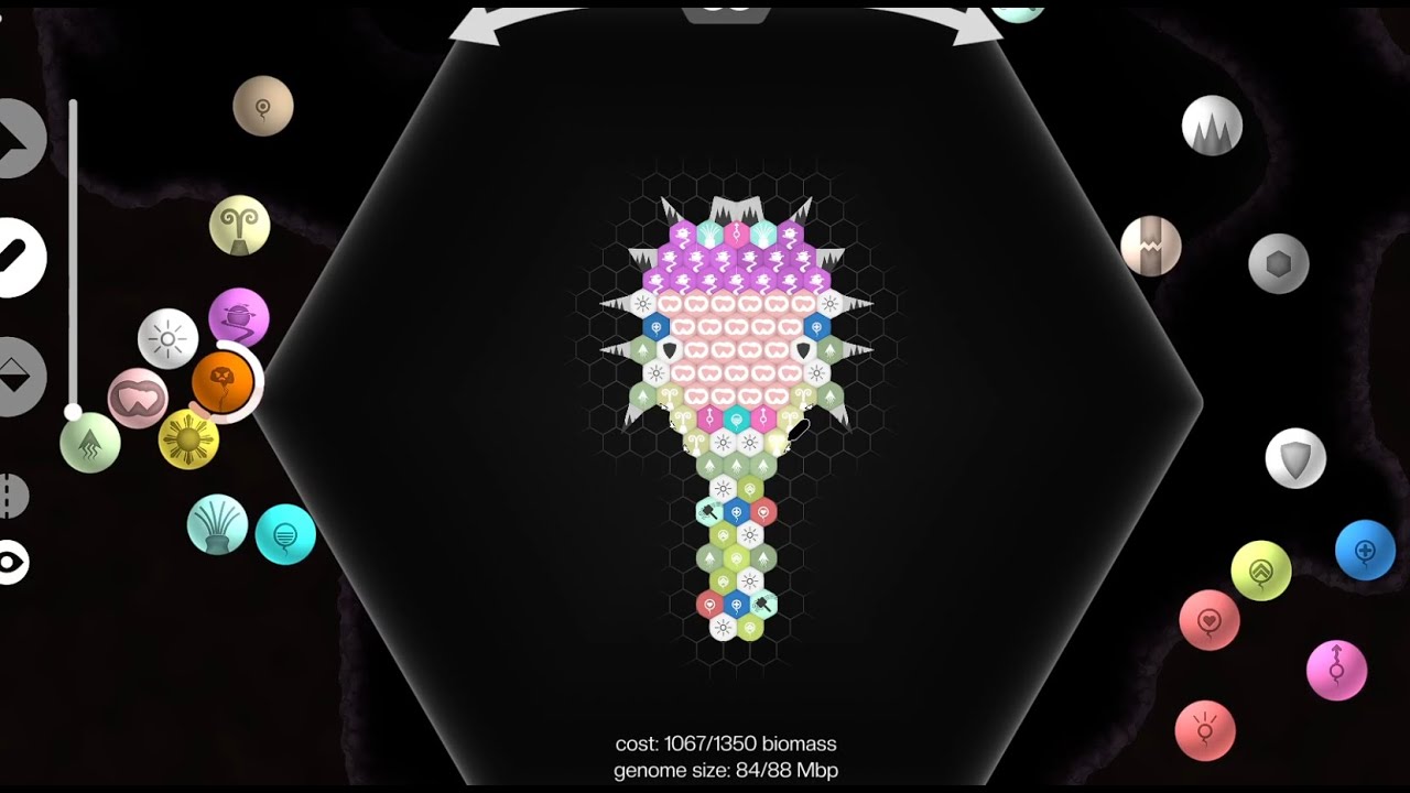 Exploring the dark - Primordialis (The quest for the secret biome)