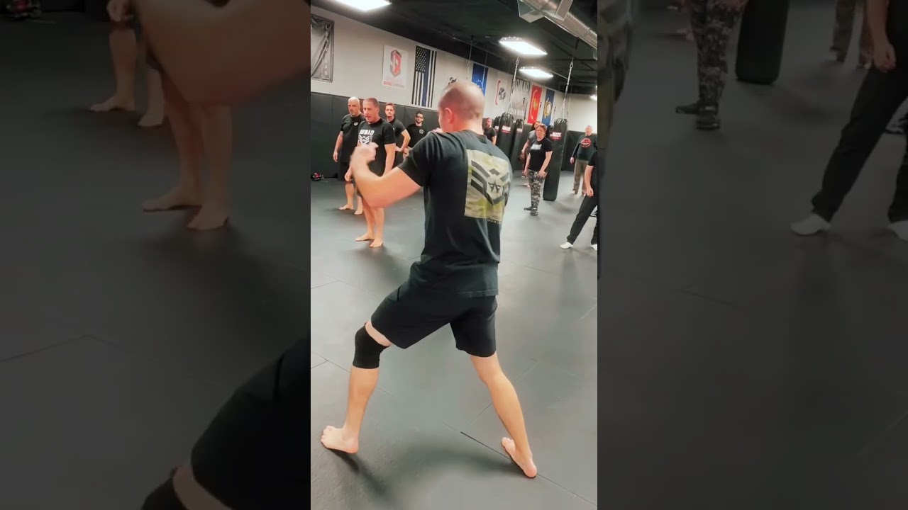 Nomad Mixed Combat System