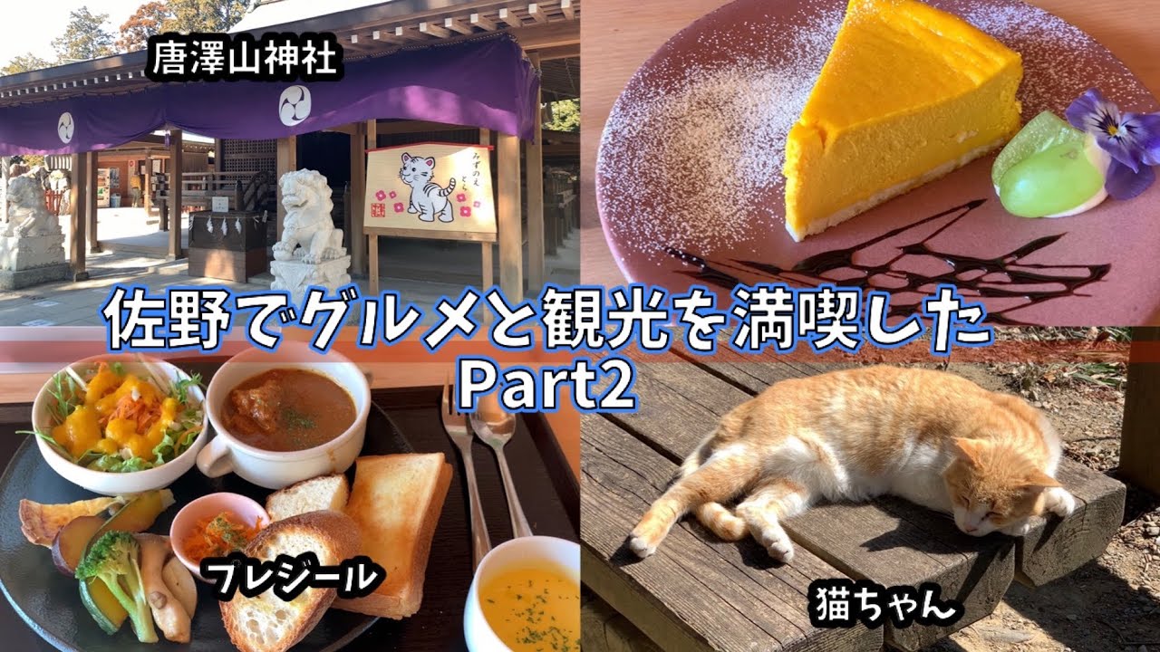 Vlog 佐野で穴場の観光とグルメを満喫した 栃木県 プレジール 唐澤山神社 いもフライ 岡本 佐野プレミアムアウトレット Youtube