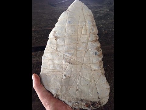 სენსაცია!!! არა მიწიერი ქვა. ცის კალენდარი. 1 დეკემბერი 2020 წ.