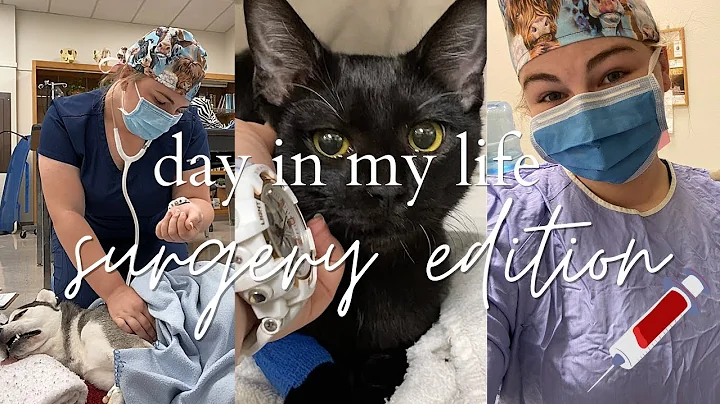 SURGERY DAY IN MY LIFE| Vet Nursing Student