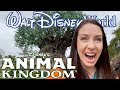 Welcome to the Animal Kingdom! | World Tour!!