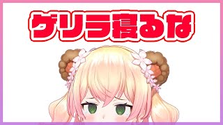 【ゲリラ】🍑起きろねね🍑【桃鈴ねね/ホロライブ】
