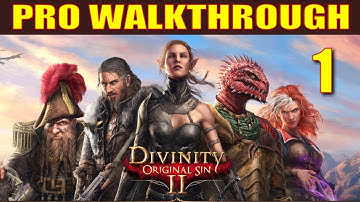 Divinity: Original Sin 2 Walkthrough Part 1 - 5 Things They Don