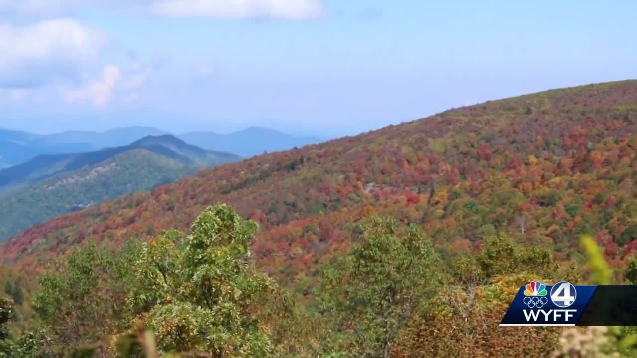 Expert weighs in on best time to leaf peep
