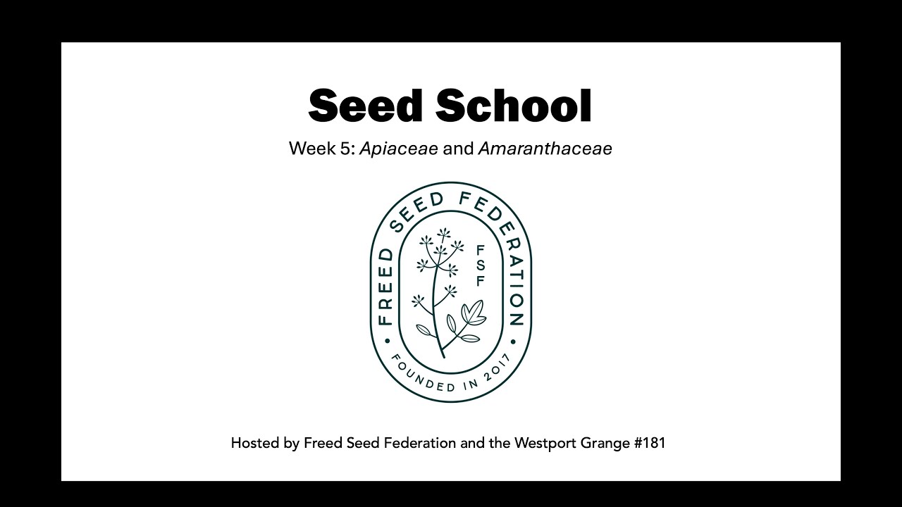 Seed School: Apiaceae & Amaranthaceae