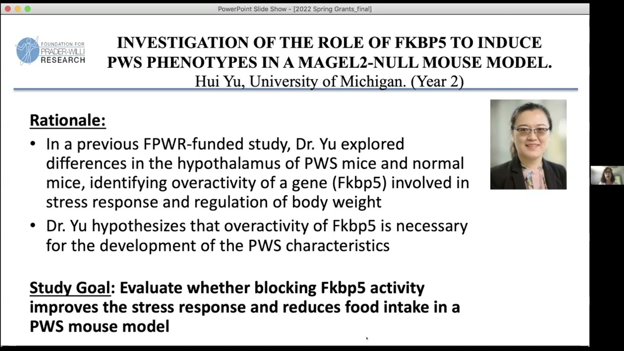 INVESTIGATION OF THE ROLE OF FKBP5 TO INDUCE PWS PHENOTYPES IN A MAGEL2-NULL MOUSE MODEL.