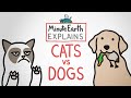 MinuteEarth Explains: Cats vs Dogs