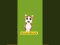 cat entertainment #cat #catshorts #entertainment #public #trendingshortsminivlog