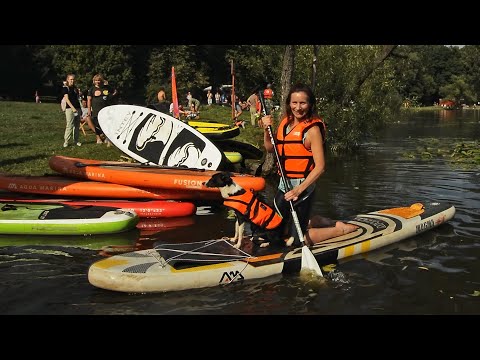 Kuzminki, Pet shop Sup-swimming with dogs on a board-4/Кузьминки, Petshop Sup-плавание с собаками-4.