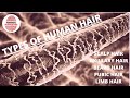 Types of Hair | Forensic Science Notes