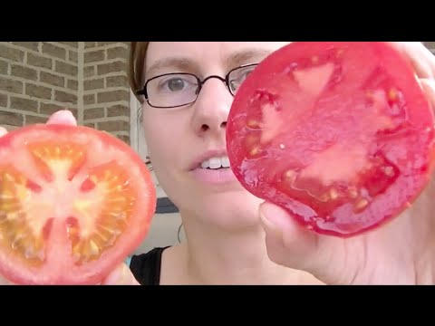 Video: Wat zijn enkele bepaalde tomaten?