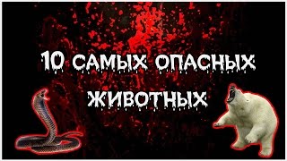 10 самых опасных животных 10 самых опасных животных