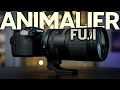 l&#39;objectif idéal pour l&#39;ANIMALIER chez Fujifilm : Test Tamron 150-500mm f5-6.7 Di III VC VXD
