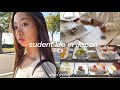 Daily Life in Japan 💌 Studying, Drawing, What I Eat, Aquarium