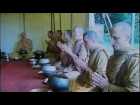 Way to happiness, Buddhist meditation, The pursuit of happiness, How to become happy, Ajahn Chah teaching, Buddhism Mindfulness to True Happiness