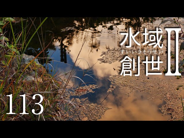 秋のメダカ池掃除　水域創世Ⅱ- 113【4K】