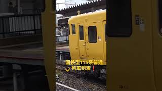 【山陽本線・岡山駅】山陽本線115系普通列車到着❕