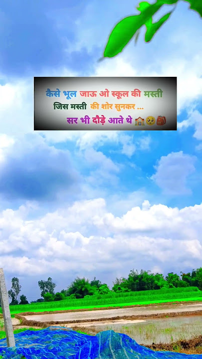 natural video official 🏞️🏞️#lover of nature video..