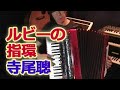 ルビーの指環 - Nori Nagasaka (Accordion)