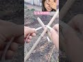 Master the Art of Tree Tying: DIY Roping Techniques
