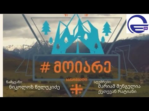 ,,17:17 - ოქროსფერი სამშაბათი/““საღამოს არხი“/“რადიო იმედი,Radio Imedi