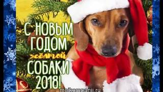 Поздравление с Новым 2018 годом от Антонины Волобуевой
