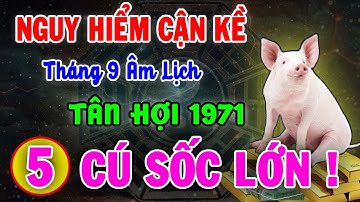 NGUY HIỂM QUÁ ĐÁNG SỢ ! Tân Hợi 1971 Sẽ Đối Mặt 5 CÚ SỐC LỚN Trong Tháng 9 Âm Lịch 2025