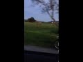 Klx110 wheelies on the street