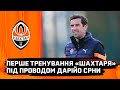 Дарійо Срна – в. о. головного тренера Шахтаря. Перше заняття під орудою легенди