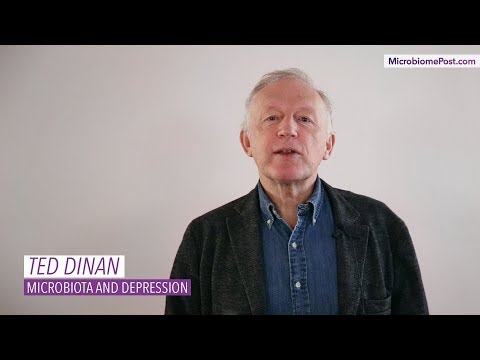 Ted Dinan - Microbiota and depression