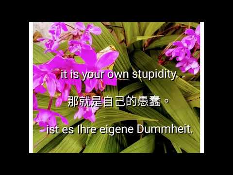 Are you happy? 你快樂嗎? (Subtitle in English & Chinese 中英文字幕)
