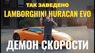 видео: Lamborghini — демон скорости | Так заведено #15 | Lamborghini Huracan Evo картинка: Lamborghini — демон скорости | Так заведено #15 | Lamborghini Huracan Evo
