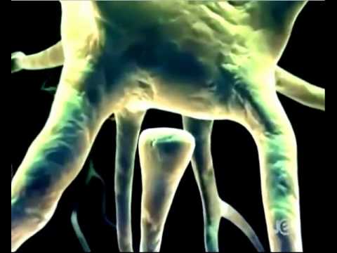 Paxil Reviews Social Anxiety