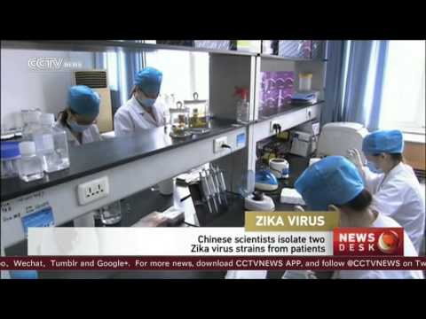 ჩეხეთში “ზიკა“ ვირუსის პირველი შემთხვევა დაფიქსირდა