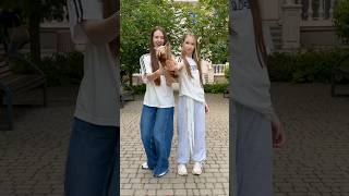 dance Tik Tok Trend With Dog Trend For Friends