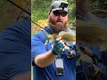 Chunky smallmouth bass #fishing #shorts #youtubeshorts