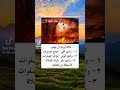 الاودية الموجودة في جهنم و من هم المعنيين بهم النار العذاب نصائح معلومات نصائح وإرشادات مجانية